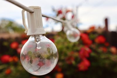 Close-up of light bulb against sky