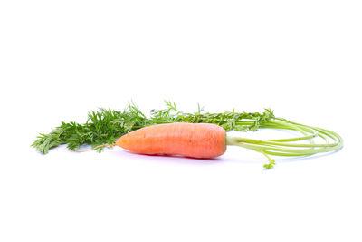 Close-up of fresh fruits against white background