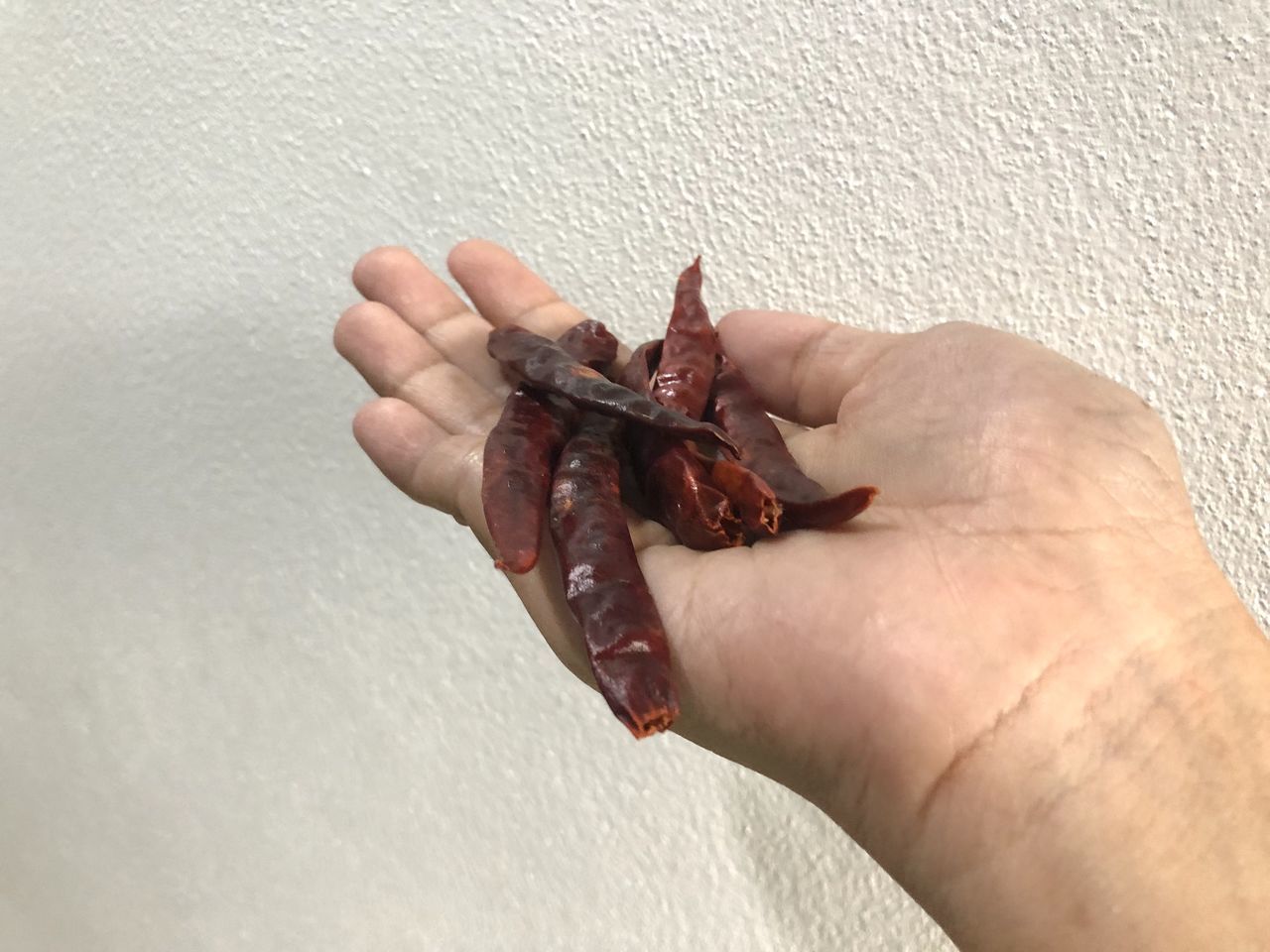 HIGH ANGLE VIEW OF HUMAN HAND HOLDING LEAF