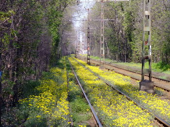 View of railroad track