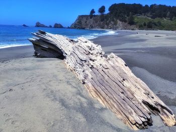 Driftwood on beach by sea against sky