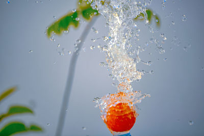 Close-up of wet glass against white background