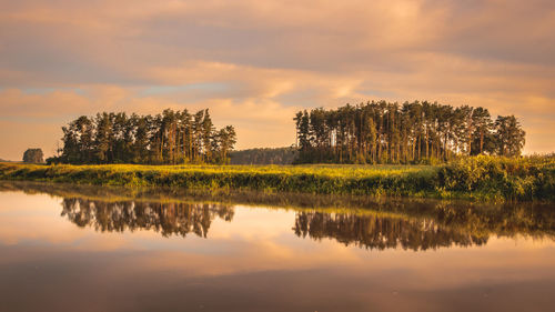 Trees by lake against sky during sunset