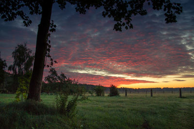 Scenic view of field against sky during sunset