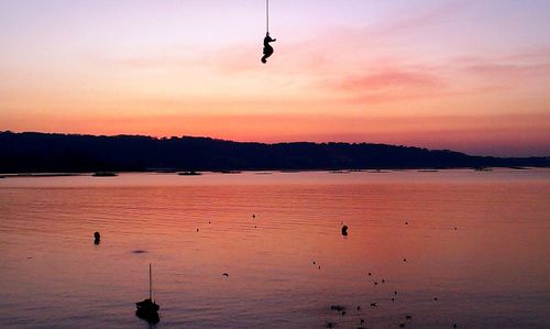 Bird flying over sea