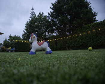 Rear view of woman sitting on grassy field