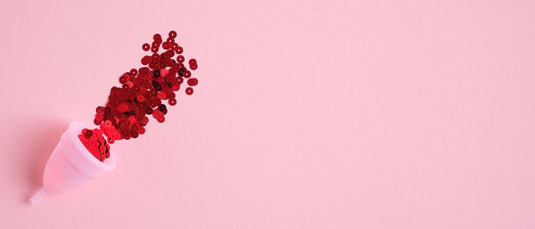 Close-up of pink berries against white background