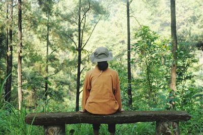 Rear view of man sitting on seat in forest