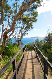 Footpath amidst trees and sea against sky