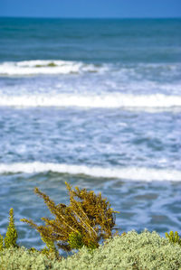 Scenic view of sea against blue sky