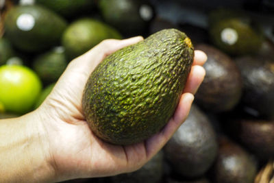 Close-up of hand holding fruit