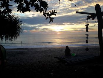 Silhouette trees on beach against sky during sunset