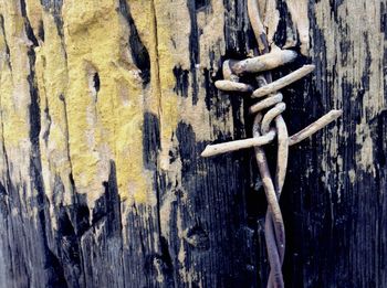 Close-up of wooden wall