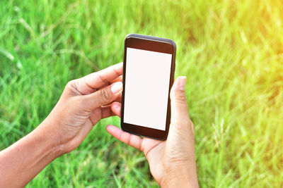 Cropped hands holding mobile phone on grassy field