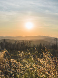 Scenic view of landscape against sky during sunset