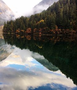 reflection