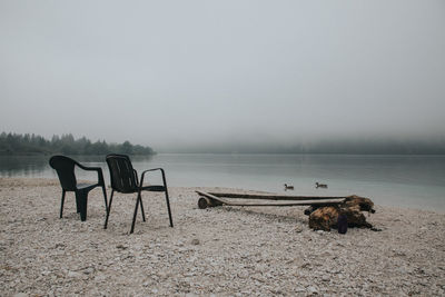 Foggy morning on the coast of lake bohinj, slovenia
