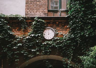 Building with trees in background