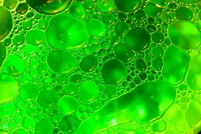 Close-up view of green liquid