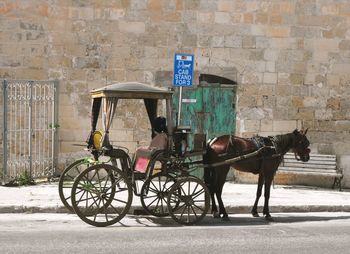 Horse cart