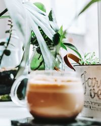 Close-up of drink on table