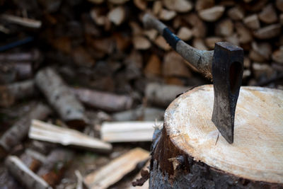 Close-up of logs