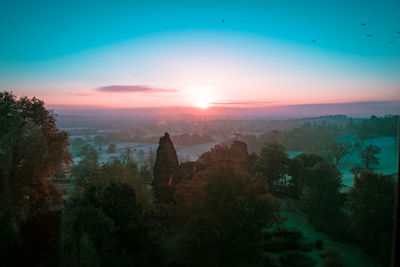 Scenic view of trees against sky during sunset