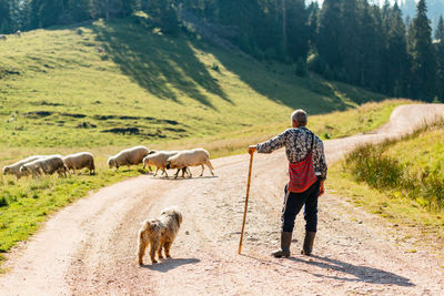 Rear view of a man on the road