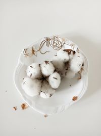 High angle view of ice cream in plate