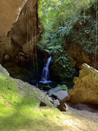 Scenic view of waterfall in forest