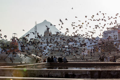 Flock of birds flying over people against sky