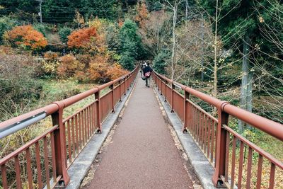 Footbridge over trees