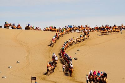 People riding camels on sand dune