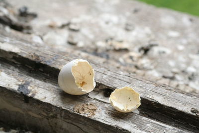 Close-up of cracked egg on weathered wood