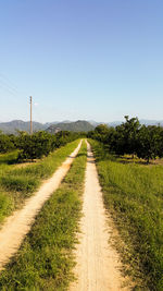 Country road passing through field