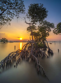 Scenic view of lake against sky during sunset