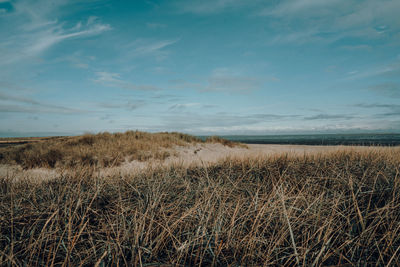 Scenic view of dunes against sky and sea