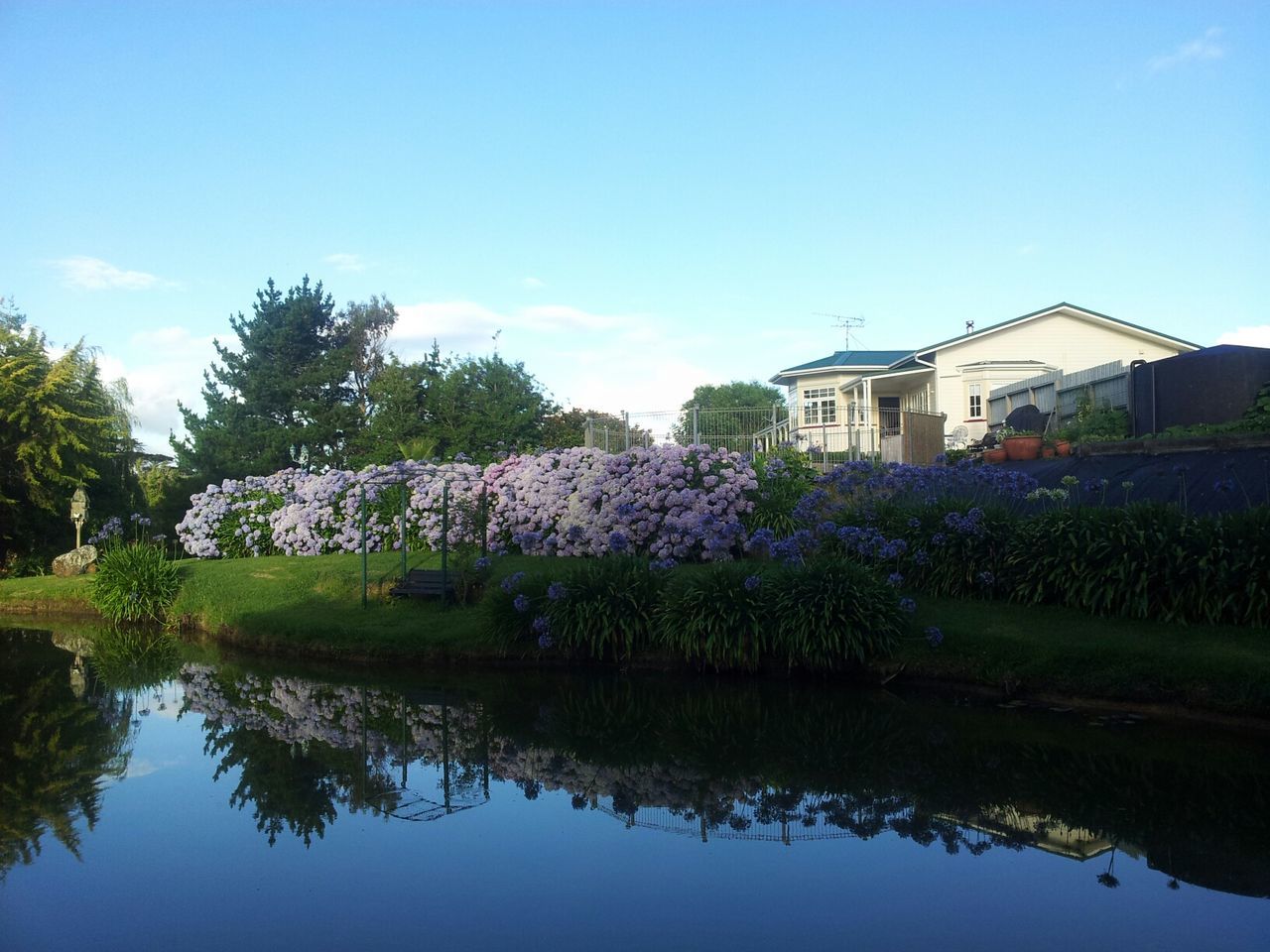 tree, water, reflection, blue, clear sky, building exterior, architecture, built structure, waterfront, growth, lake, beauty in nature, nature, sky, tranquility, tranquil scene, copy space, house, day, plant