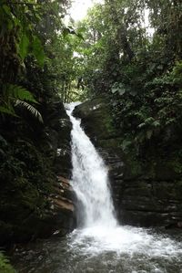 Scenic view of waterfall