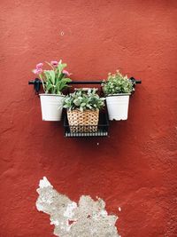 Potted plants hanging on wall