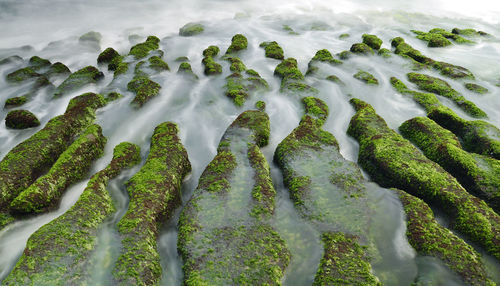 Full frame shot of rocks in sea