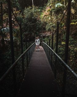Man standing on footbridge in forest