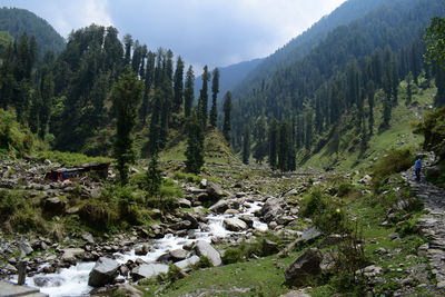 Scenic view of trees and mountains against sky