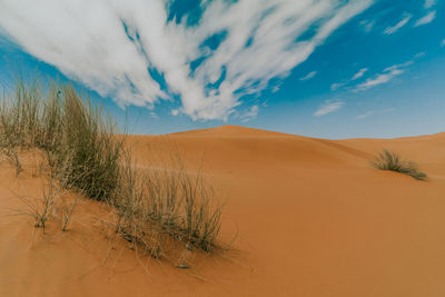 Scenic view of desert against sky