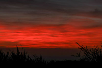 Scenic view of dramatic sky during sunset