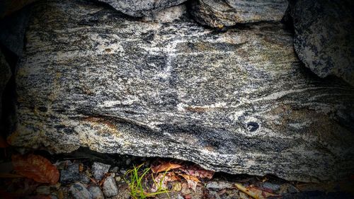 Close-up of rock