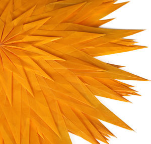 Low angle view of orange leaves against white background