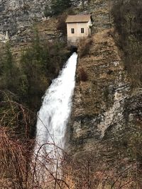 Scenic view of waterfall amidst trees in forest