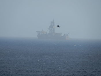 Bird flying over sea with boat in background