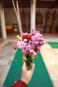 Close-up of hand holding pink flowering plant